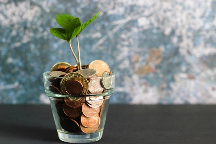 Contractor pension planning