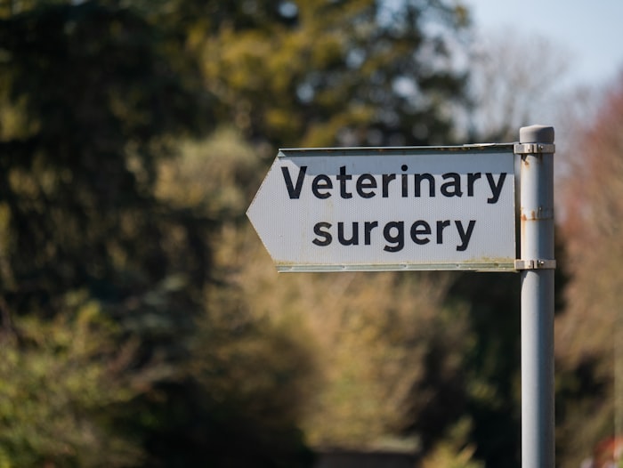 Veterinary practice setup