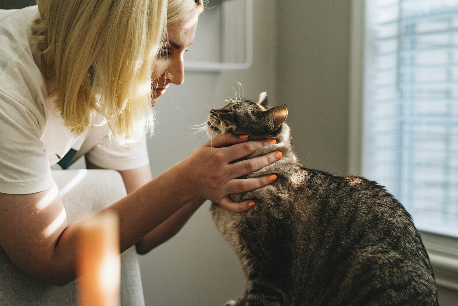 Veterinary practice